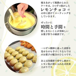 なつかしのレモンケーキ 20個 ケーキ