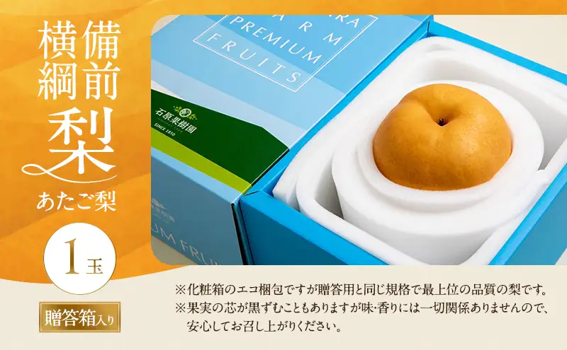 梨 2026年 備前横綱梨（あたご梨） 1玉 (1～1.4kg) 贈答箱  岡山県産 梨