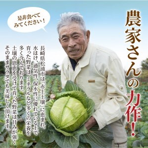 旬のお野菜と産みたて卵6個の大満足セット【A8-039】
