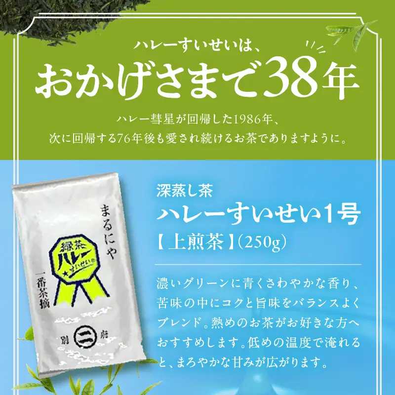 一番茶摘み緑茶ハレーすいせい1号(上煎茶)250g・2号(特上煎茶)250g 2本セット_B079-001