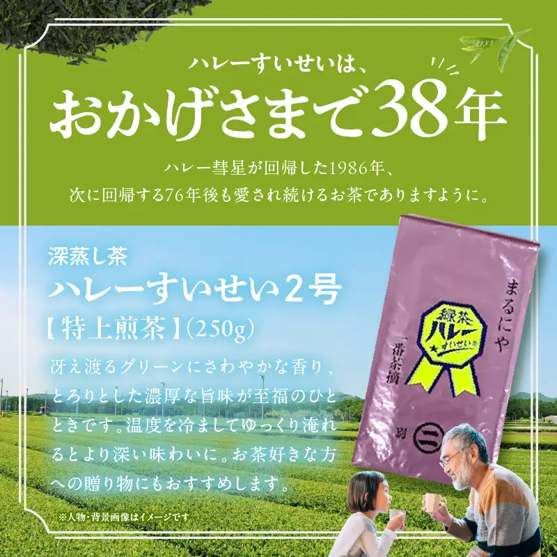 一番茶摘み緑茶ハレーすいせい2号(特上煎茶)250g 2本セット_B079-004