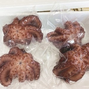 南知多産 茹でたこ 約1kg(4杯) [配送不可地域：離島]