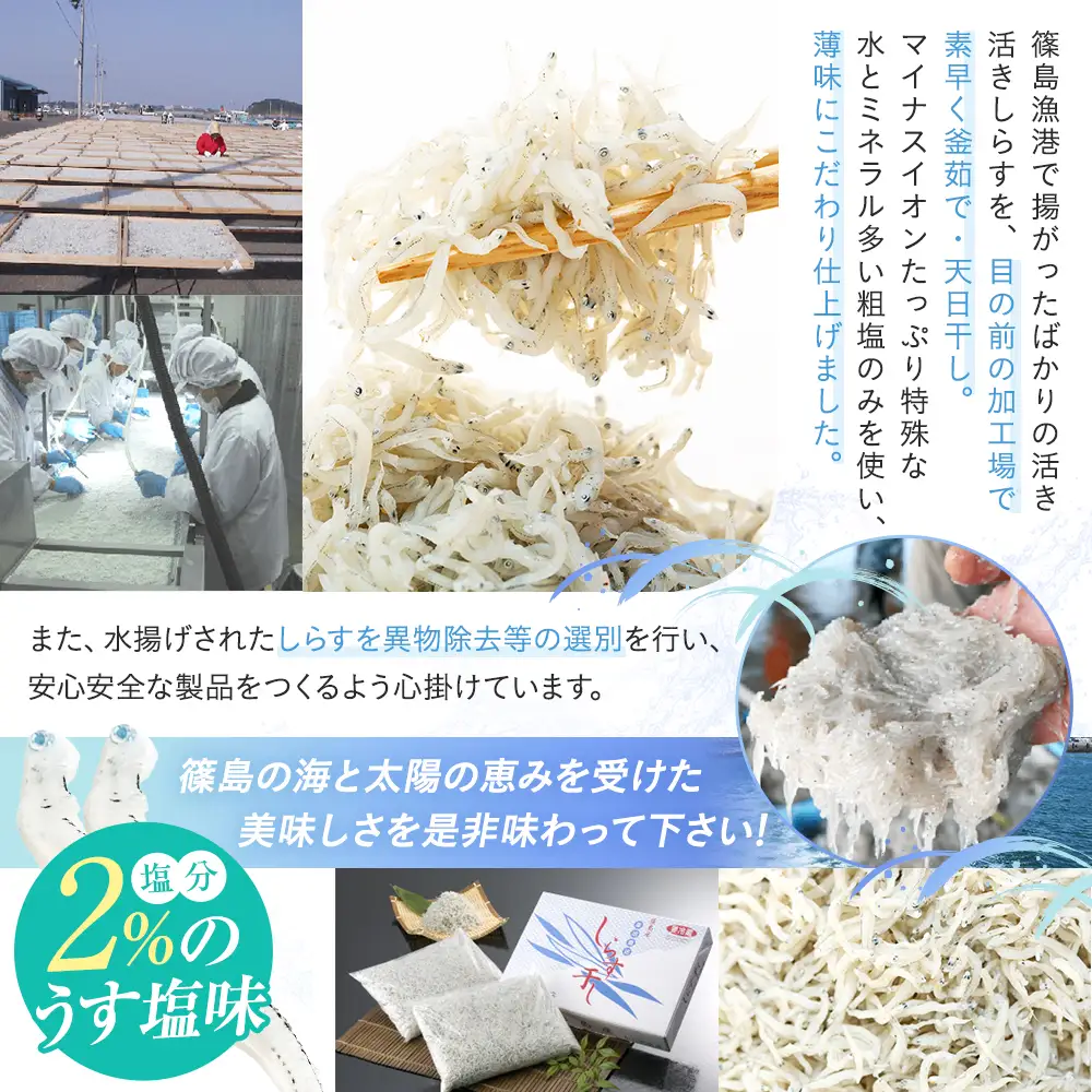 篠島産 しらす 干し 1kg 冷凍 晩酌 惣菜 弁当 便利 ランキング ご飯のお供 ご飯 ごはん 国産 サラダ おつまみ しらす 干し