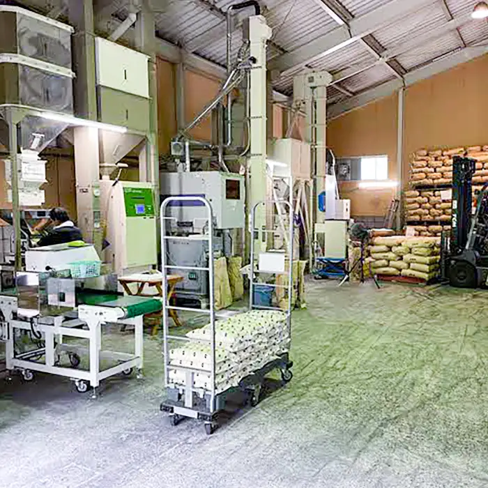 〈先行予約〉新米 令和6年産 美郷町産コシヒカリ 白米 10kg【お米 10kg 1袋 精米 ブランド米 米 こしひかり お米 先行予約 2024年産】