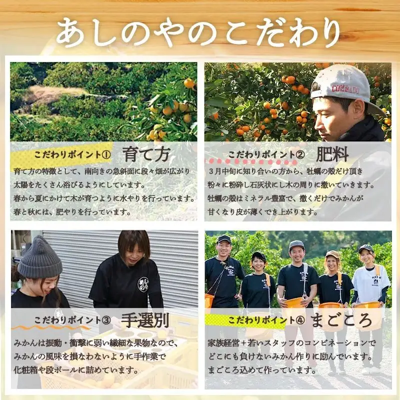 【2027年先行予約】和歌山県産 有田の はるみ 8～11玉 (L～3Lサイズ混合)_ZE6206n