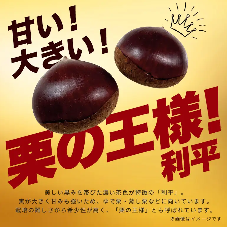 生栗 2kg 栗 2L以上 AH-006