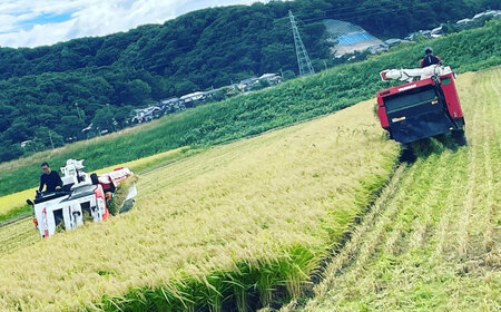 【新米受付・令和8年産米】 空舞米　新潟県村上市岩船産　コシヒカリ精米5kg、新之助7kg （合計12kg） NB4090