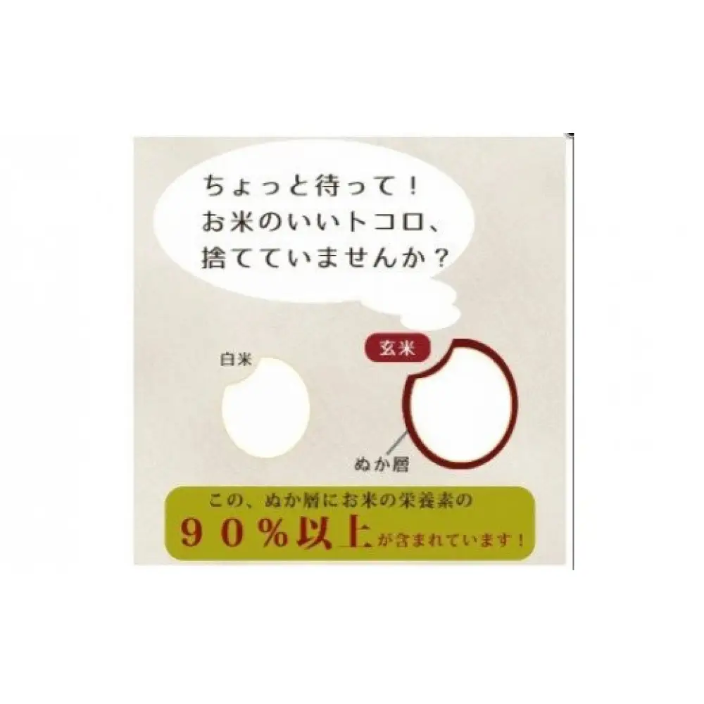 食べる米ぬかパウダー ぬかだけん100g 3袋セット 米ぬか