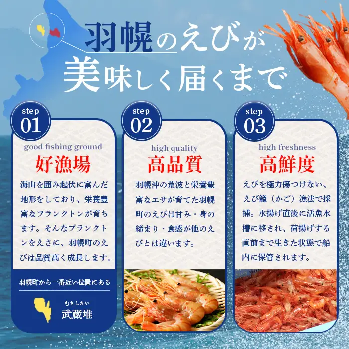 超速リキッド凍結でドリップゼロ！北海道羽幌産生鮮甘えび 600g（200g×3パック）【0312101】