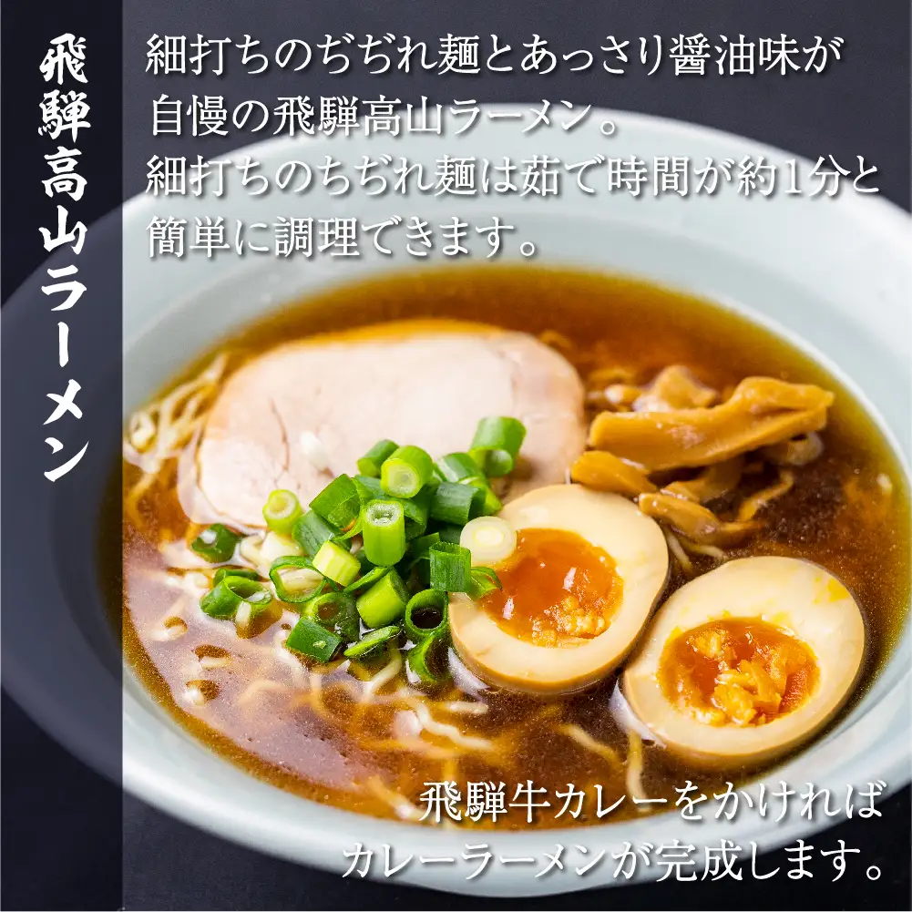 飛騨牛カレー（160ｇ×10袋）と飛騨高山ラーメン（2食入×5袋で10食）満腹欲ばりセット |  高山の味を満喫 飛騨牛 レトルト加工食品 カレー ラーメン セット 人気 おすすめ 飛騨高山 ふるさと清見 DC011