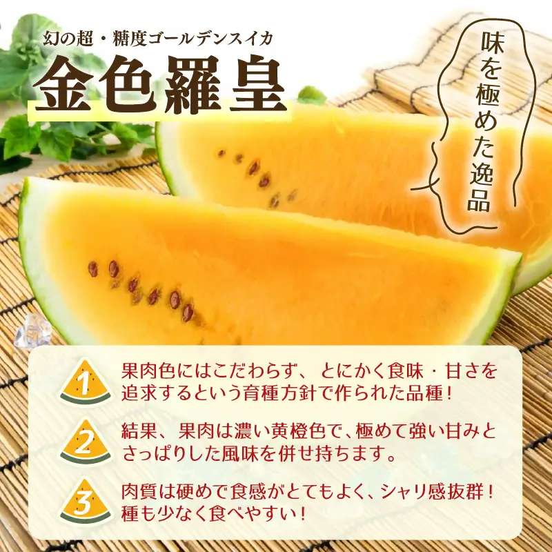 【先行予約】大玉スイカ『金色羅皇』（7kg以上 1玉入） スイカ史上 最高糖度！ ／ あわら 果物 フルーツ 高糖度 すいか 産地直送 ※2027年6月中旬より順次発送 [aw039-a025]