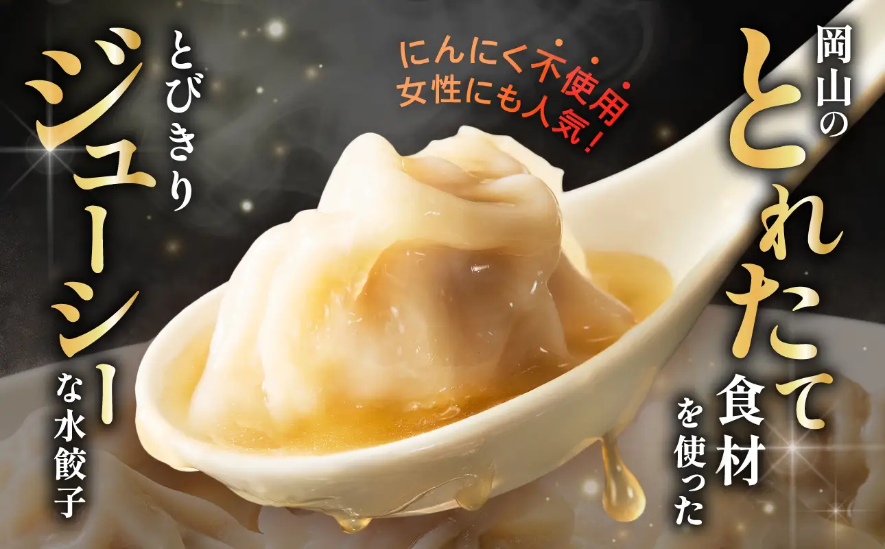 餃子 水餃子 定期便 3回発送 40個