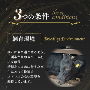 亀岡牛 サーロインステーキ 500g ステーキ