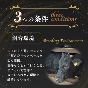 亀岡牛特選サーロインステーキ1kg ステーキ