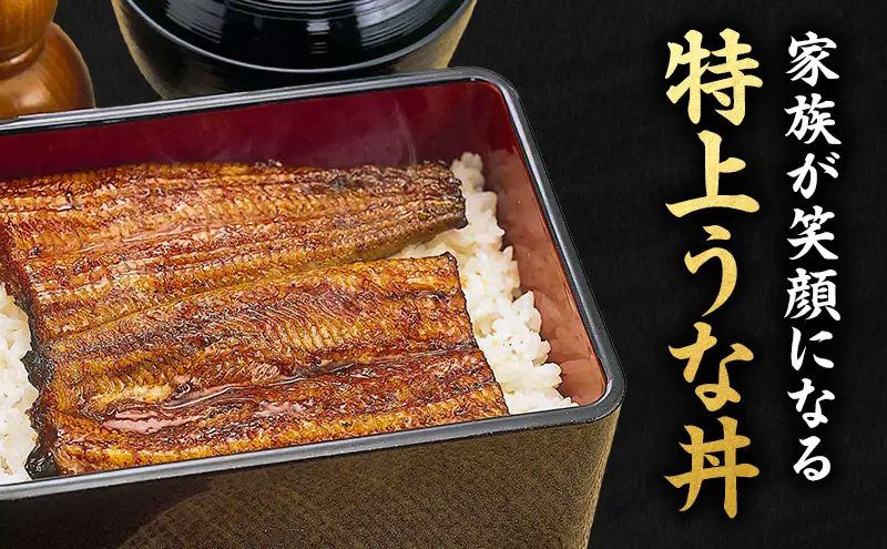 うなぎ 鰻 蒲焼 約100g 2尾 たれ 10ml うなぎ