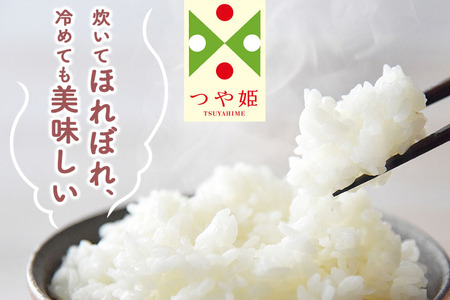 《定期便5ヶ月》【白米】つや姫 10kg×5回（特別栽培米）令和5年産 山形県産 しらたかのお米