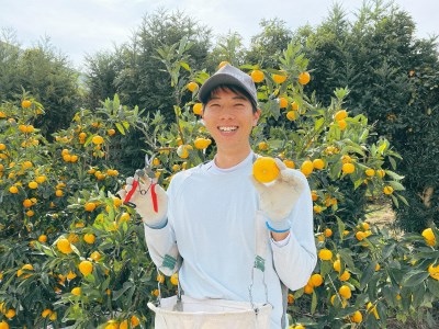 ひさしげ農園 　せとかジュース３本入