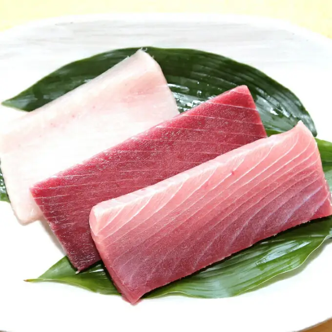 こだわりの天然ミナミマグロビントロセット　ミナミマグロ中トロ赤身各1柵　 ビントロ1柵