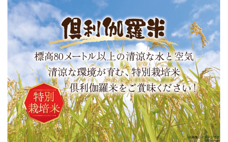 米 12回 定期便 火牛の里 倶利伽羅米 (特別栽培米) 5kg×12回 総計60kg