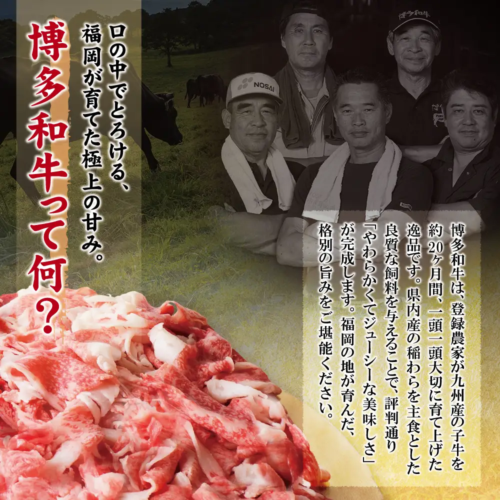 Z61-189-01 【訳あり】博多和牛 切り落とし800g 牛肉