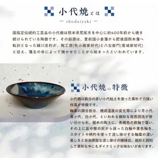 FK7-0362_国指定伝統的工芸品「小代焼」　深皿２枚　(径21.5cm） 熊本県 嘉島町