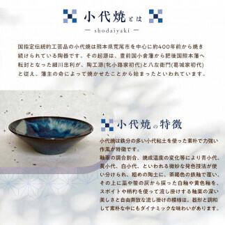 FK7-0362_国指定伝統的工芸品「小代焼」 深皿2枚 (径21.5cm） 熊本県