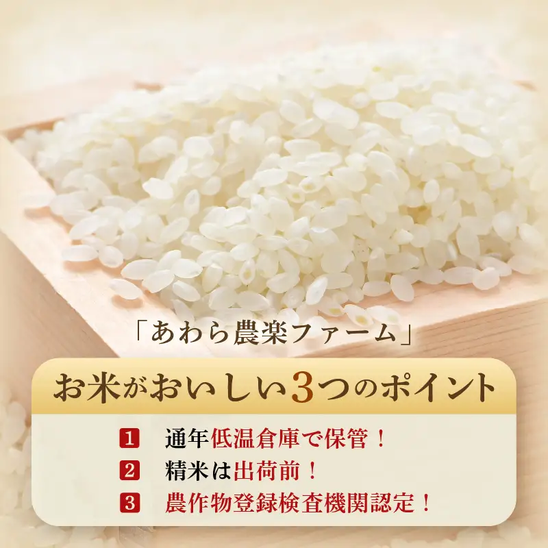 【先行予約】【令和8年産・新米】【一等米】いっちょらい 精米 10kg×1袋 ／ 福井県産 ブランド米 コシヒカリ ご飯 白米 お米 コメ 新鮮 大賞 受賞 新米 福井県あわら産 ※2026年9月下旬以降順次発送予定 [aw012-b029]