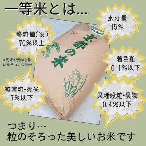 令和8年産 新米 きぬひかり 玄米 30kg 米