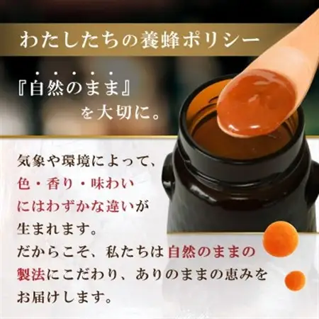 インカナム マヌカハニー 500g  MGO 550+【1384298】