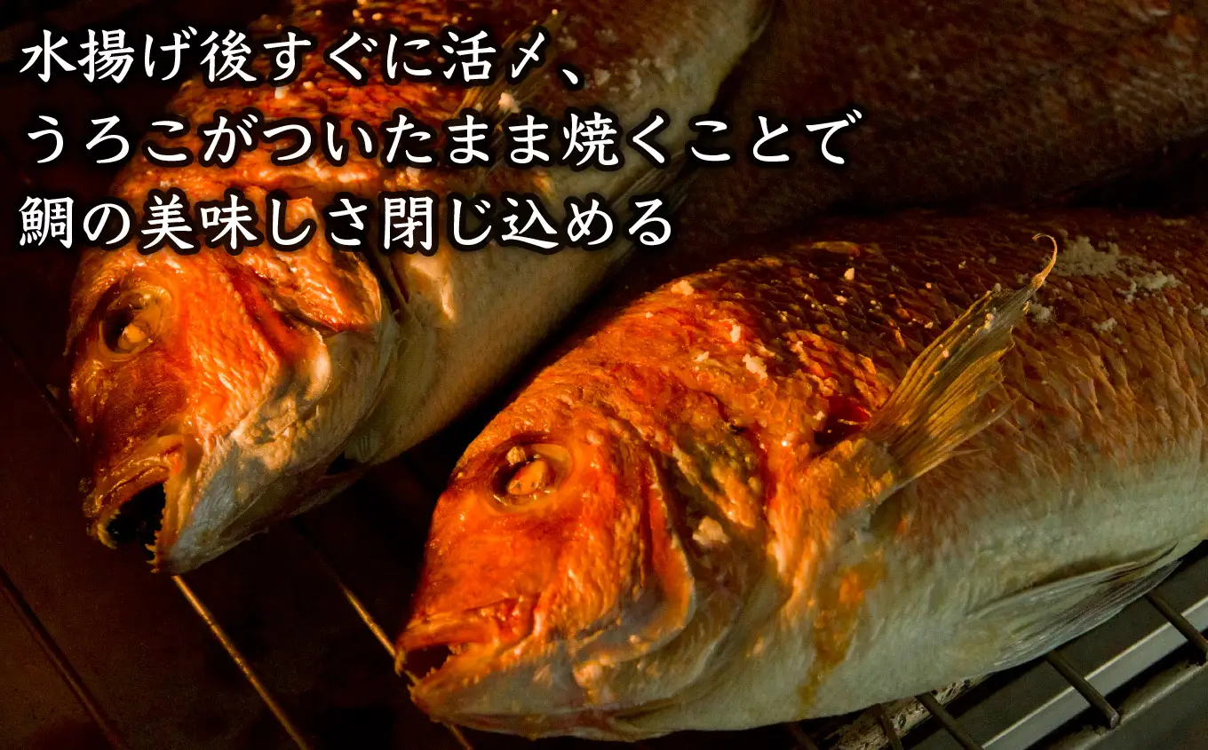 めでたい焼　ME-101