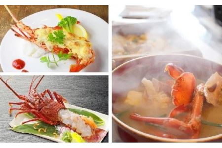 活伊勢エビ ＜ 生 ＞ 約1.5kg （２～５尾） 天然 活き 活イセエビ 伊勢エビ 伊勢海老 伊勢えび いせえび イセエビ エビ えび 海老 刺身 豪華 イセエビ お造り 《10月20日～4月期間限定出荷：先行予約も可（到着日時指定必須商品）》 HA-f-63