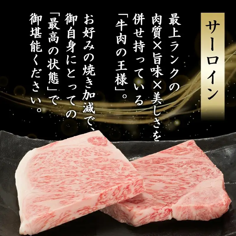 【A5】肉厚!宮崎牛サーロインハーフカットステーキ2枚〔AD-0112〕_(都城市) 最高級A5ランク 宮崎牛サーロインステーキ 200g×2枚 ステーキソース 塩コショウ付 ギフト 贈答用