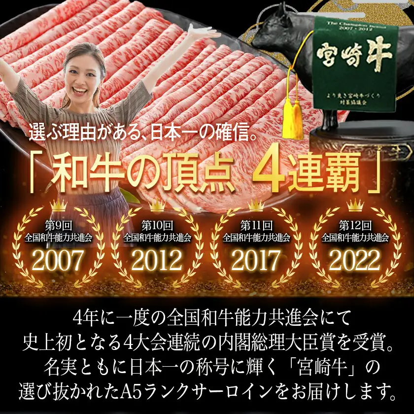 【A5】宮崎牛サーロインスライス500g〔AE-0105〕_(都城市) 都城産宮崎牛 ブランド牛 最高級A5ランクの牛肉 最高等級5等級 牛肉 すきやき / 焼きしゃぶ 霜降り 冷凍 国産黒毛和牛 肉の旨味 ギフト 贈答用