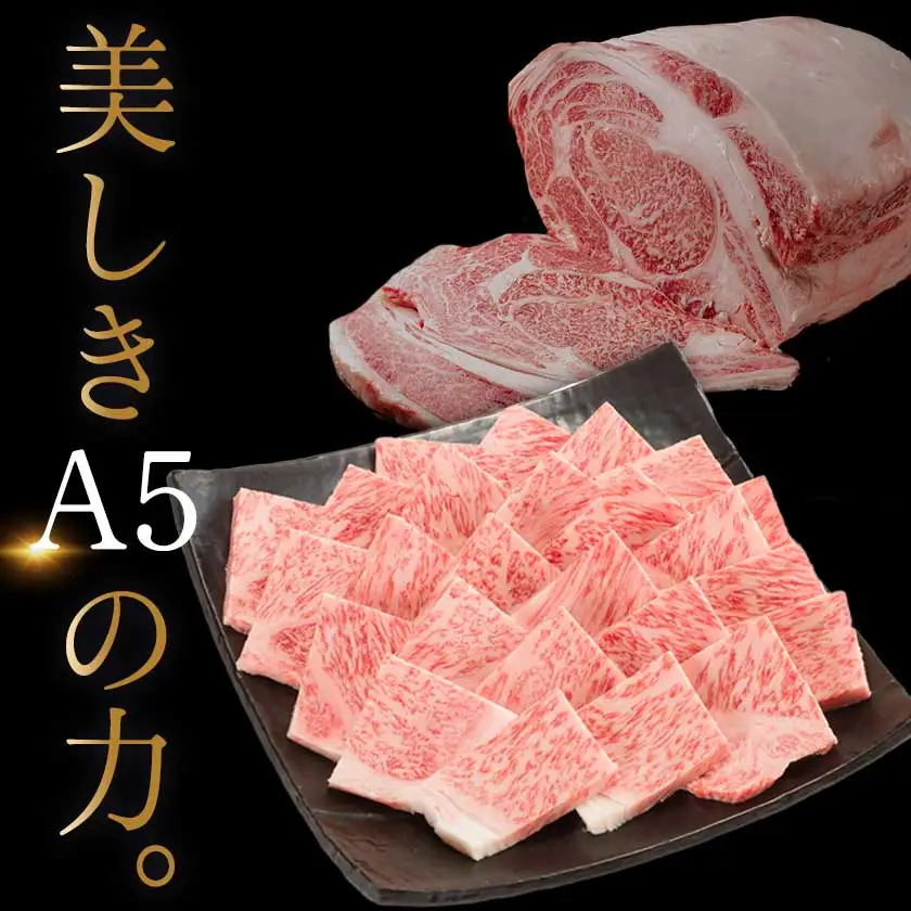 【A5】宮崎牛サーロイン焼肉用500g〔AE-0106〕_(都城市) 最高級A5ランク 宮崎牛サーロイン焼肉用 500g 最高等級5等級 ブランド牛 国産牛肉 国産黒毛和牛 バーベキュー 焼き肉 ガッツリ 夏のイベント