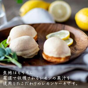 レモンケーキ 10個入り