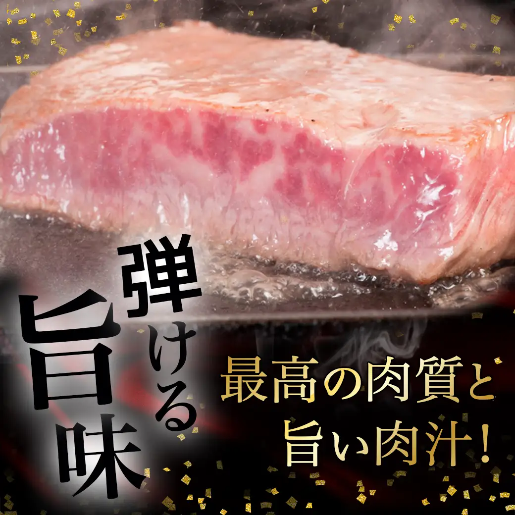 【A5】宮崎牛サーロインステーキ4枚〔MB-0135〕_(都城市) 最高級A5ランクの牛肉 宮崎牛サーロインステーキ 200g×2枚×2P  塩コショウ ステーキソース付 都城産宮崎牛 真空パック ギフト 贈答用