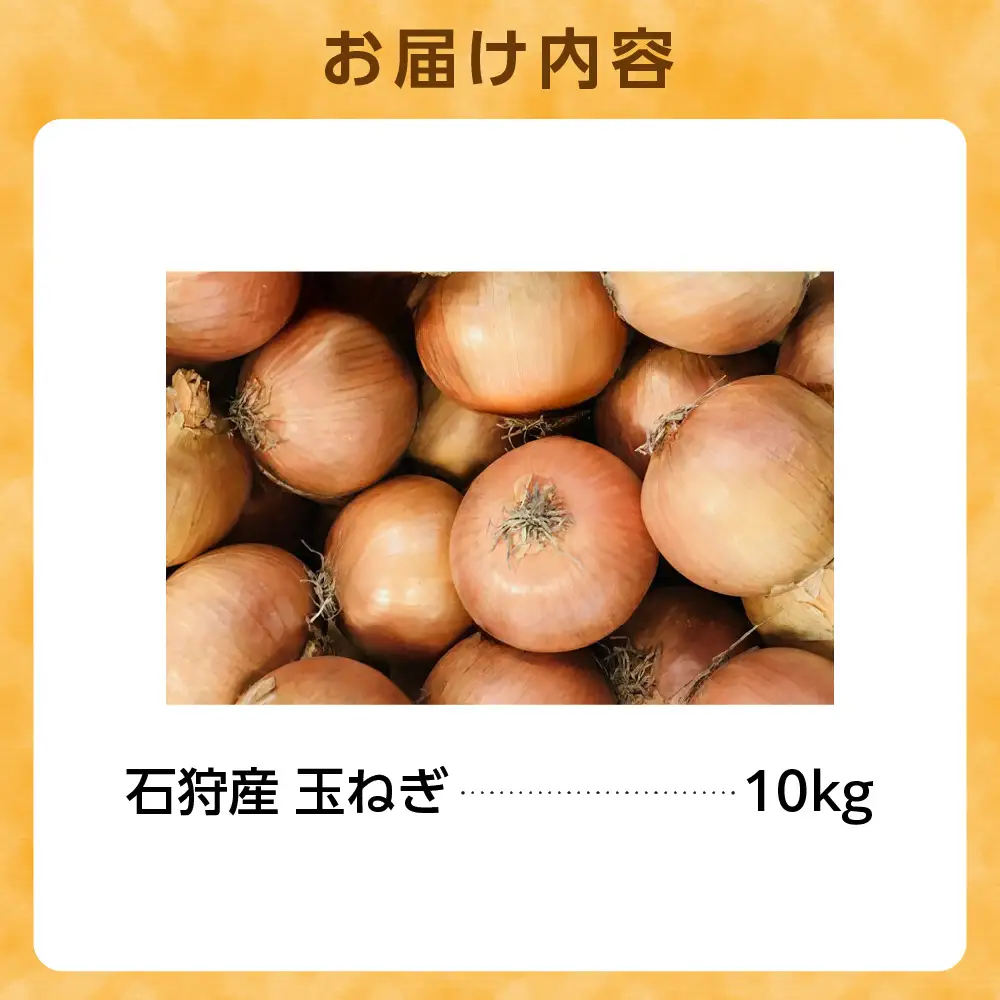 石狩産 玉ねぎ10kg【9月～11月発送】｜ ふるさと納税 北海道産 野菜 たまねぎ 北海道 石狩市