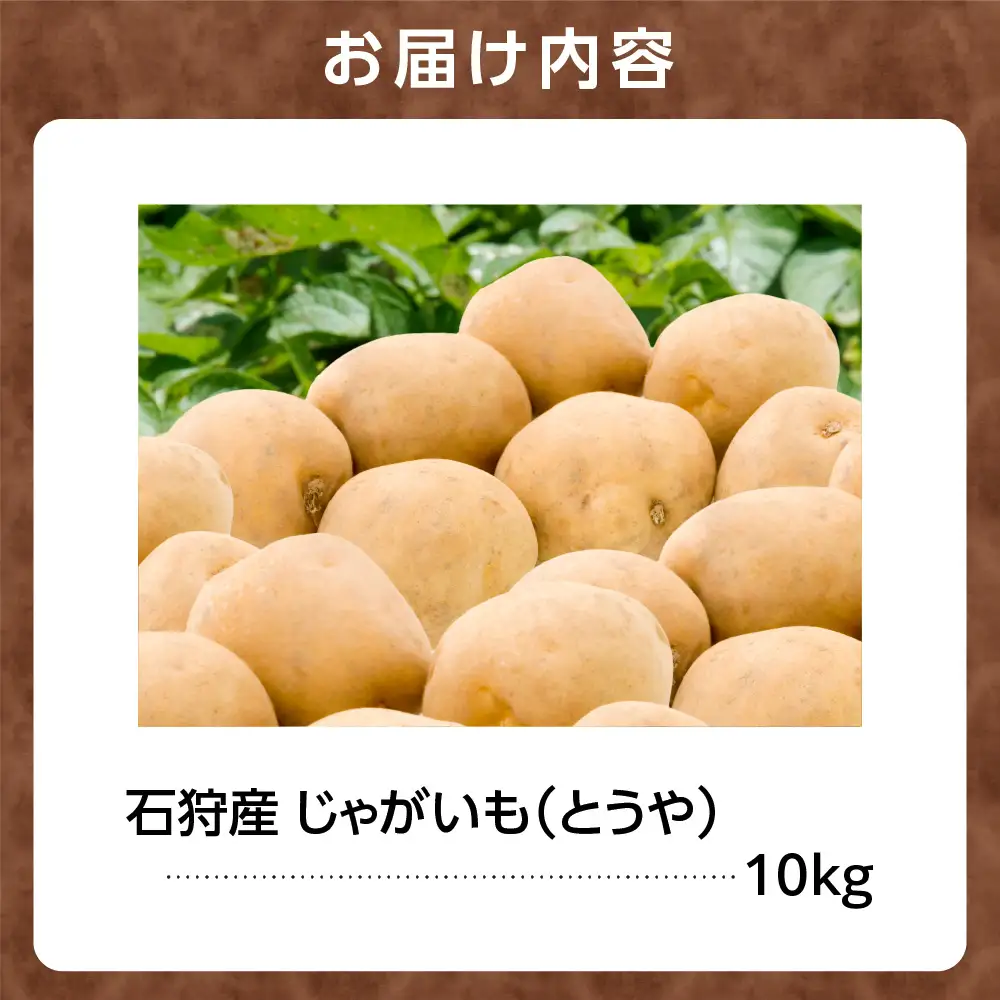 石狩産じゃがいも（とうや） 10kg【9月発送】｜ふるさと納税  北海道産 じゃがいも 野菜 北海道 石狩市