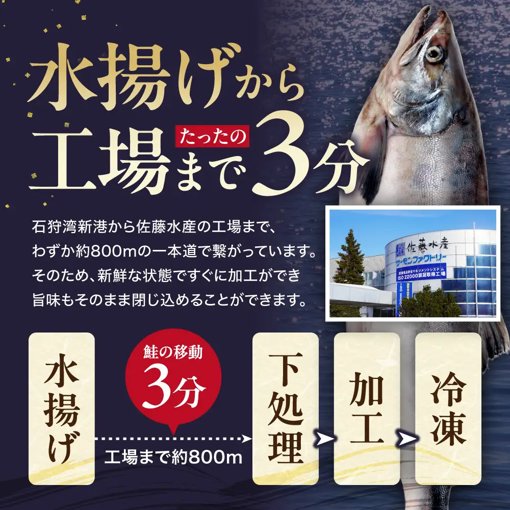 【佐藤水産】いくら増量 鮭ルイベ漬（180g） ｜いくら 鮭 海鮮 北海道 石狩市