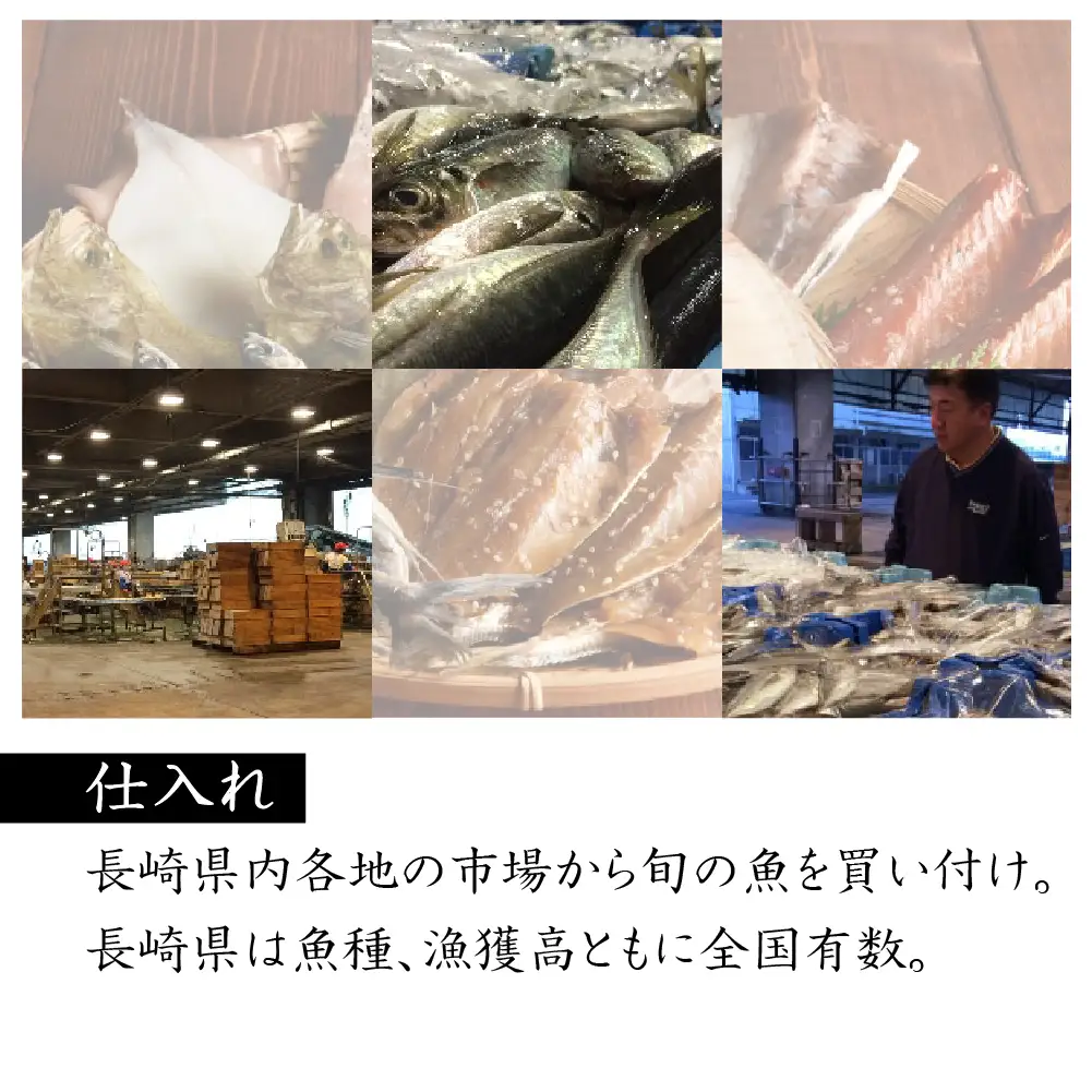 長崎産 ひもの ｢出島｣  津田 【 干物 】