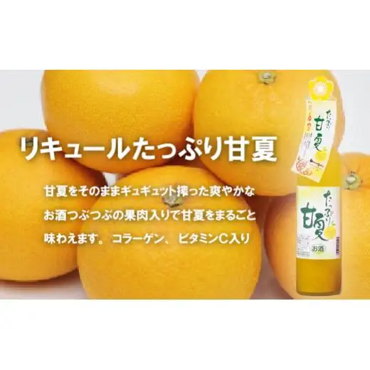 梅ヶ枝酒造 もも 甘夏 いちご りんご アロエヨーグルト マンゴーヨーグルト 各500ml〈佐世保市〉リキュール 果実 C115a