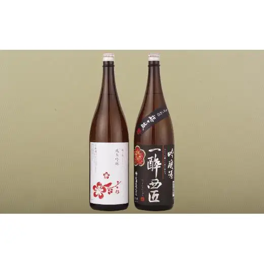 【 日本酒 】 純米吟醸 吟醸酒 呑み比べ 酒 C111b