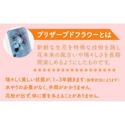 【母の日ギフト】バラの花を中心としたプリザーブドフラワーアレンジ 母の日プレゼント ギフト【西九州させぼ地域商社】