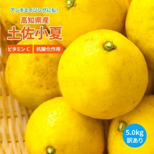 令和9年5月発送予定 訳あり 小夏5キロ （白浜農園の減農薬小夏）柑橘 みかん ミカン 果物 フルーツ 日向夏 おやつ デザート 美味しい ワケアリ ご自宅用【R01153】