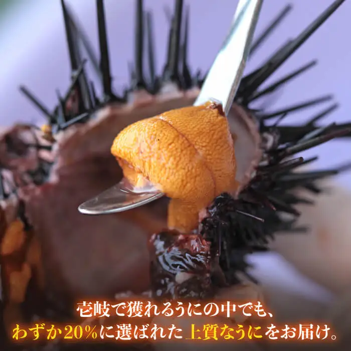 生うに 寒ぶり丼の素 セット・食べ比べ 老舗の厳選 おさだの生うに《壱岐市》【長田商店】[JAO014]