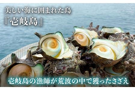 壱岐産さざえうに　2本セット [JAO017] 17000 17000円 のし プレゼント ギフト 冷凍配送 九州