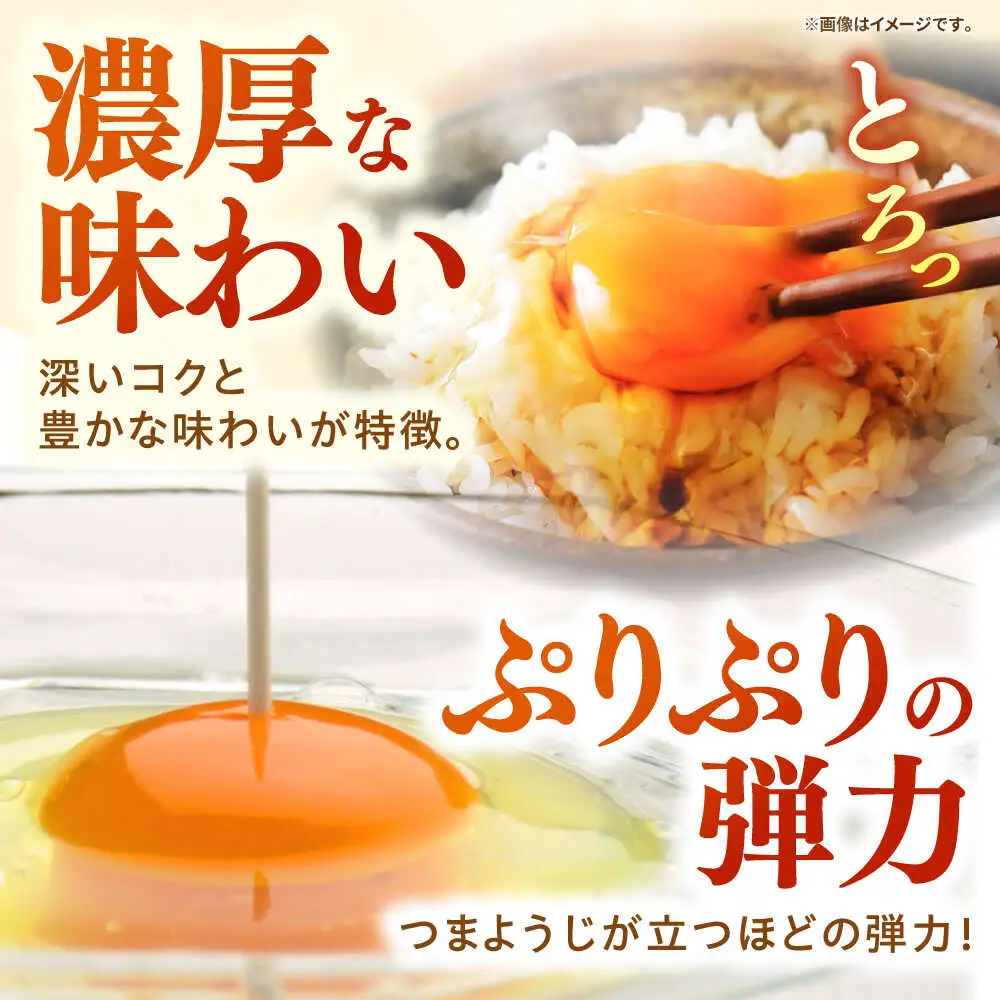【全6回定期便】【特選卵】素直な恋たまご 60個 [JAP004]
