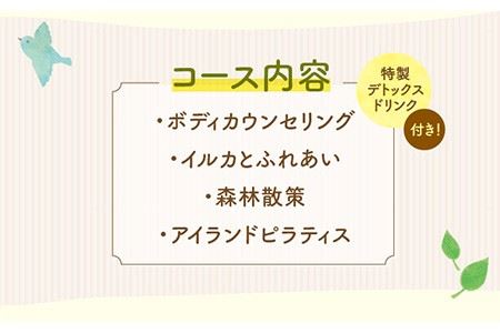 アイランド・リトリート 半日体験 《壱岐市》【壱岐イルカパーク＆リゾート】[JBF006] 40000 40000円 4万円 九州