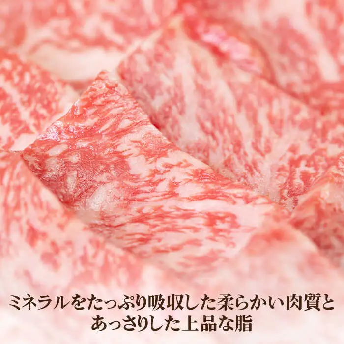 《A4～A5ランク》壱岐牛 ロース200g・カルビ200g・上モモ400g（焼肉） 《壱岐市》【壱岐市農業協同組合】[JBO014] 肉 牛肉 ロース カルビ モモ 焼肉 赤身 60000円 6万円