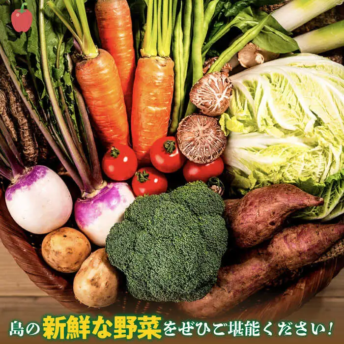 【全6回定期便】旬の野菜セット 7品 [JBO045] 野菜 やさい 旬 セット 詰め合わせ 60000 60000円